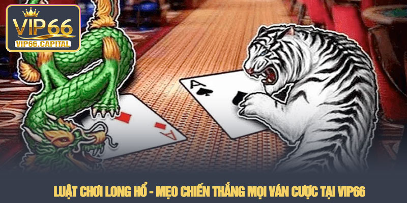 Luật chơi long hổ - Mẹo chiến thắng mọi ván cược tại VIP66 1 Luật chơi long hổ - Mẹo chiến thắng mọi ván cược tại VIP66