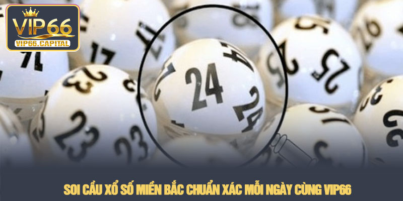 Soi cầu xổ số miền Bắc chuẩn xác mỗi ngày cùng VIP66 1 Soi cầu xổ số miền Bắc chuẩn xác mỗi ngày cùng VIP66
